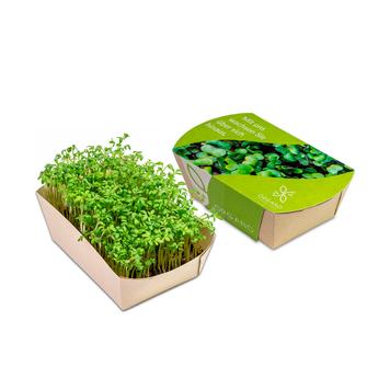Microgreens grădină