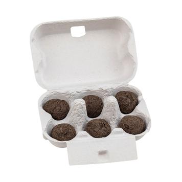Bile de semințe în cutie de ouă
